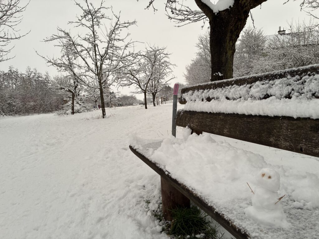 Winter in Friedrichsdorf